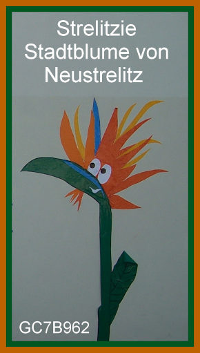 Strelitzie - Stadtblume von Neustrelitz - (GC7B962)
