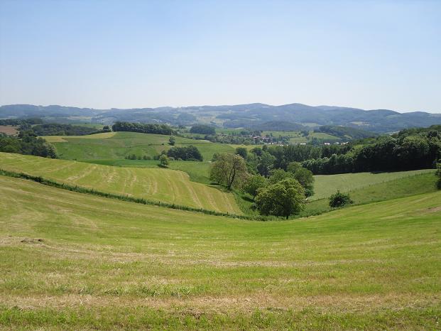 Cachetour nach Hemsbach