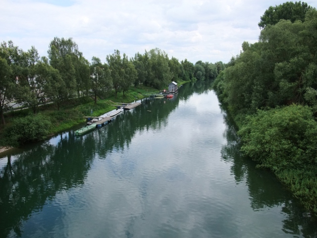 Altrheinarm bei Erfelden