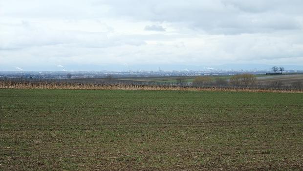 Blick auf Ludwigshafen