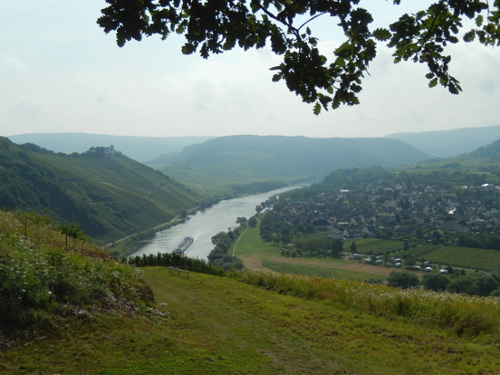 Moselsteig Etappe 14: Reil - Zell (Mosel)