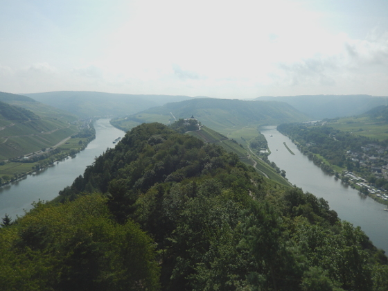 Moselsteig Etappe 14: Reil - Zell (Mosel)