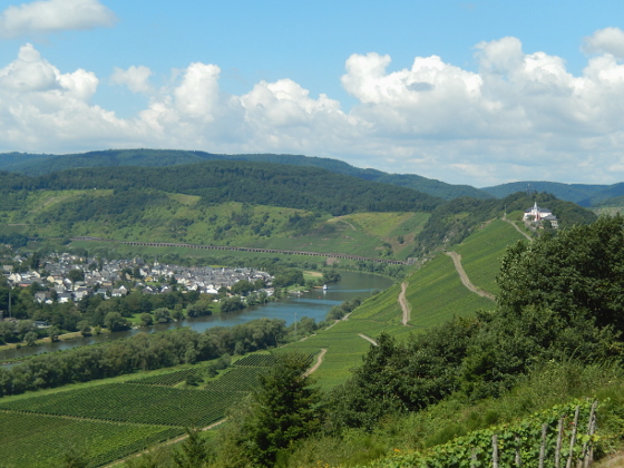 Moselsteig Etappe 14: Reil - Zell (Mosel)