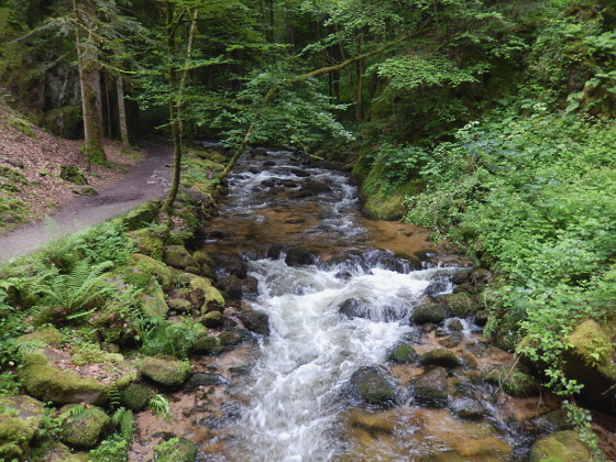 8.000er-Cachetour nach Rastatt-Wintersdorf