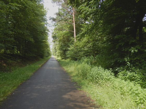 8.000er-Cachetour nach Rastatt-Wintersdorf