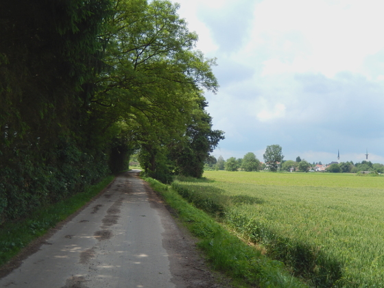 8.000er-Cachetour nach Rastatt-Wintersdorf