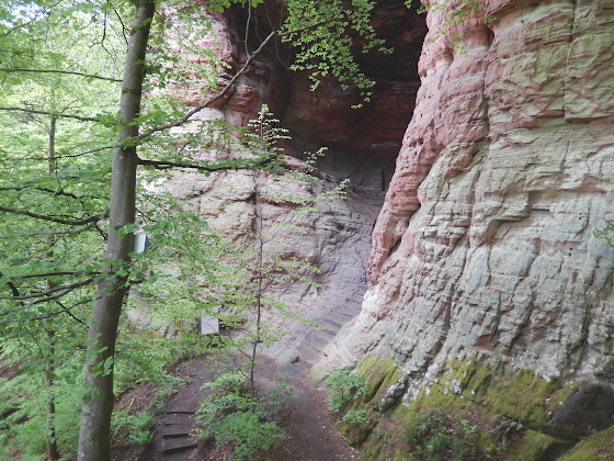 Genovevahöhle